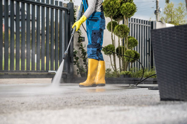 Best Driveway Pressure Washing  in Milan, NM